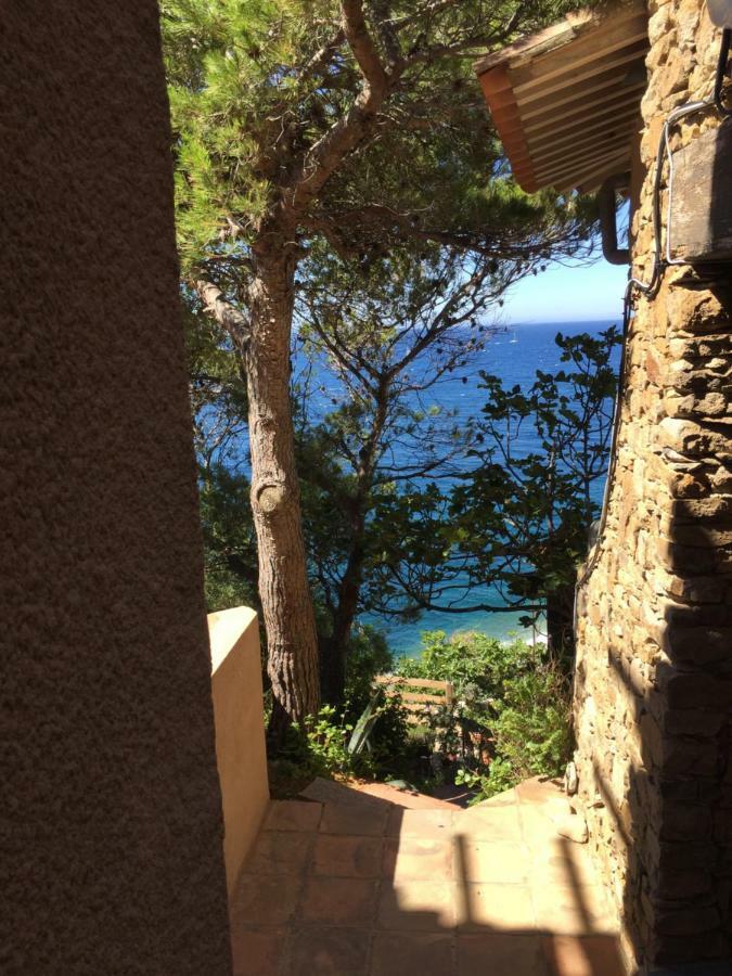 Le Baou " Les Pieds Dans L'Eau " Carqueiranne Exterior photo